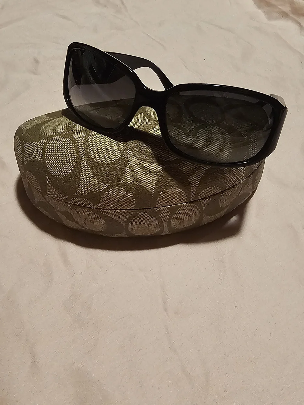 Coach Thelma Black Oversized Women's Sunglasses with Signature Logo Case